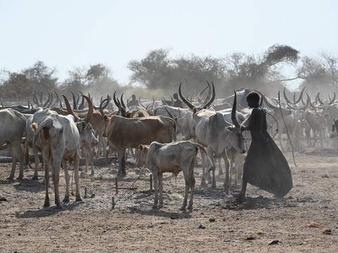 BomaHills Tourism Limited-Juba必去景点