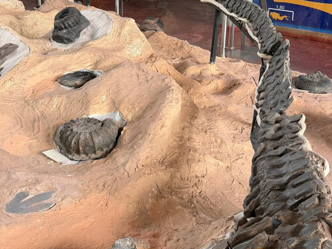 Centro de Investigaciones Paleontologicas - CIP-莱瓦镇必去景点