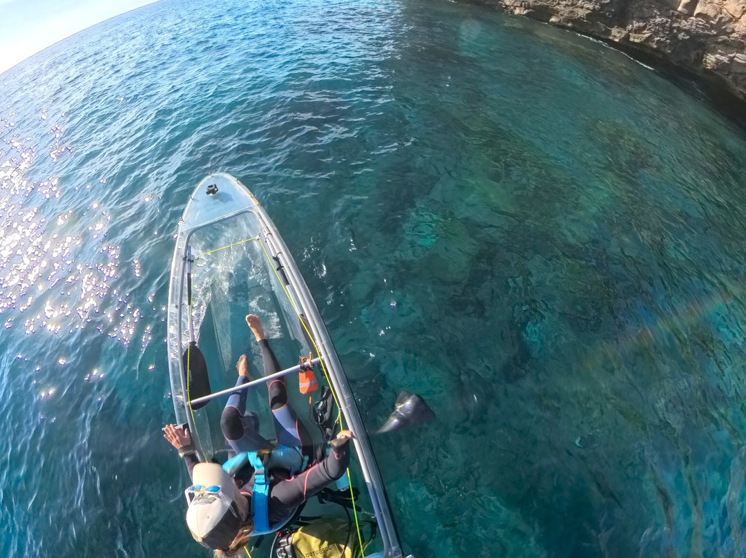 E-kayakcanarias-Tarajalejo必去景点