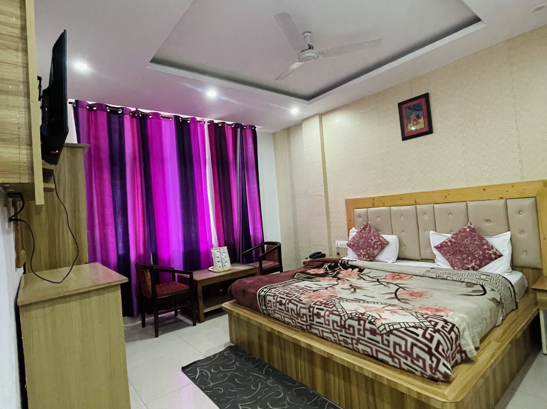Hotel Anand Palace主图