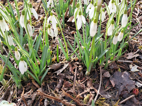 Nature Reserve Eselschwanz-圣马格雷滕必去景点