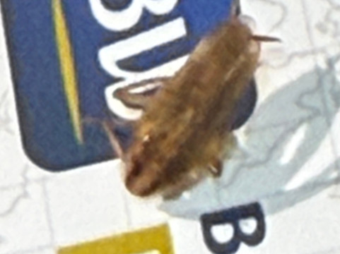 冷水溪贝斯特韦斯特优质酒店主图