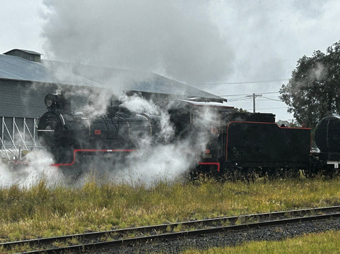 Southern Downs Steam Railway-Warwick必去景点
