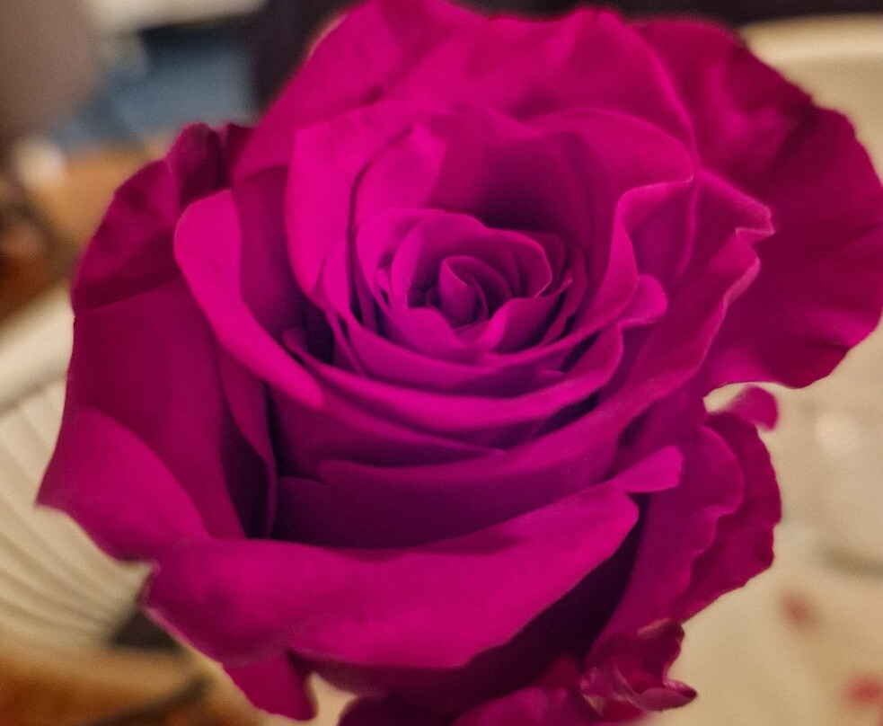 凯吉区域酒店主图