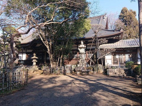 Senryuji Temple-狛江市必去景点