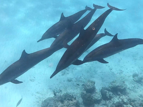 Kinan Beach Club-Fulidhoo必去景点