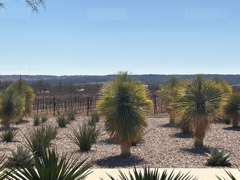 Invention Vineyards-弗雷德里克斯堡必去景点