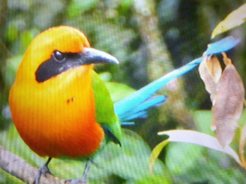 Nectar Pollen Reserve-瓜匹来斯必去景点