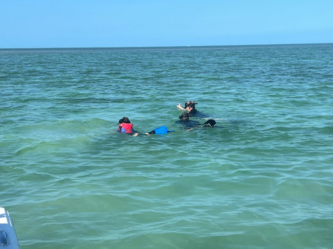 Wild About Dolphins-基韦斯特必去景点