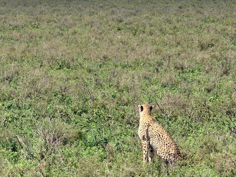 Unlimited Expeditions - The Soul Of Tanzania-阿鲁沙必去景点