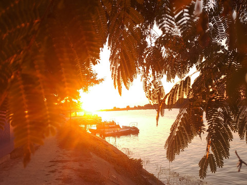 Danube Delta Kayaking tours & Camping (Mila 23)-Mila 23必去景点