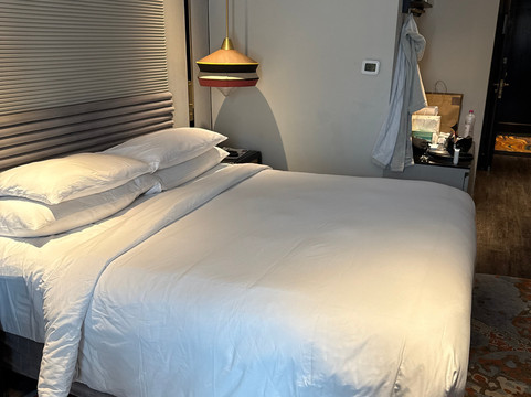 昌迪格17 区凯悦尚萃酒店主图