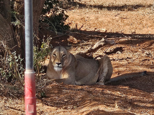SAFARIZANDO-瓦塔木必去景点
