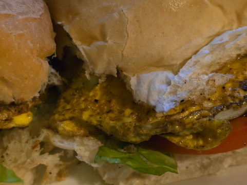 Vilanova Parque Hotel主图