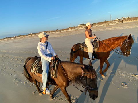 Happy Trails Walking Horses-费尔南迪纳岛必去景点