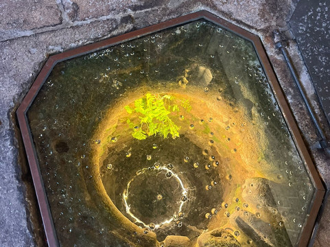 Catedral de Ourense-奥伦塞省必去景点