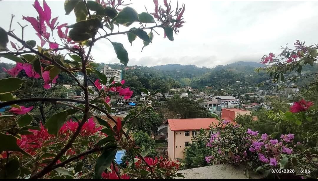 Oak Ray City Hotel主图