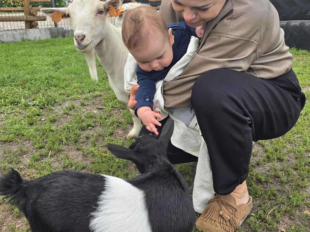 Podlaska Toskania-Suwalki必去景点