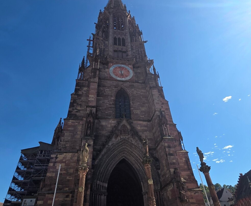 Fischbrunnen-佛莱堡必去景点