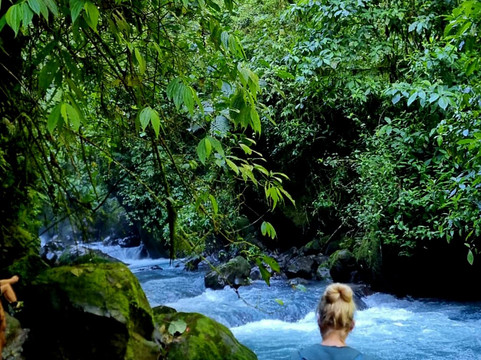Ecotours Toro Amarillo 360-Bajos del Toro必去景点