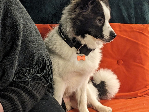 Cuddly Colony-布莱顿必去景点