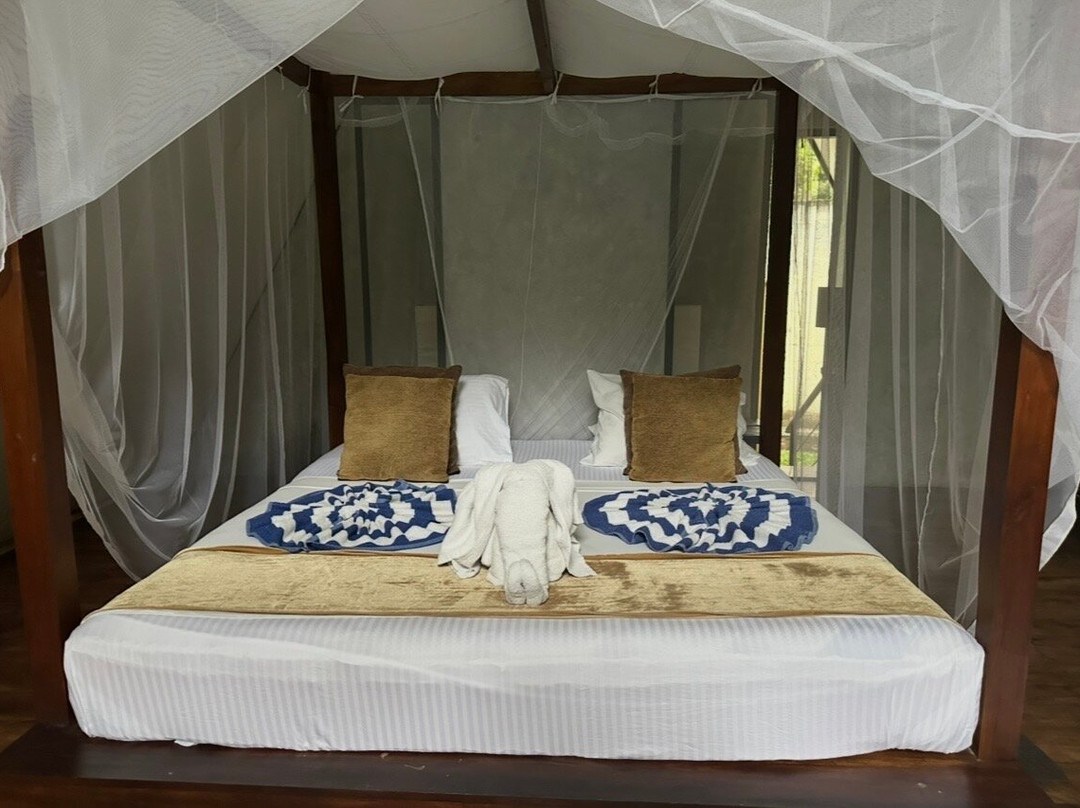 Shenandoah Travels Sri Lanka-佩拉德尼亚必去景点