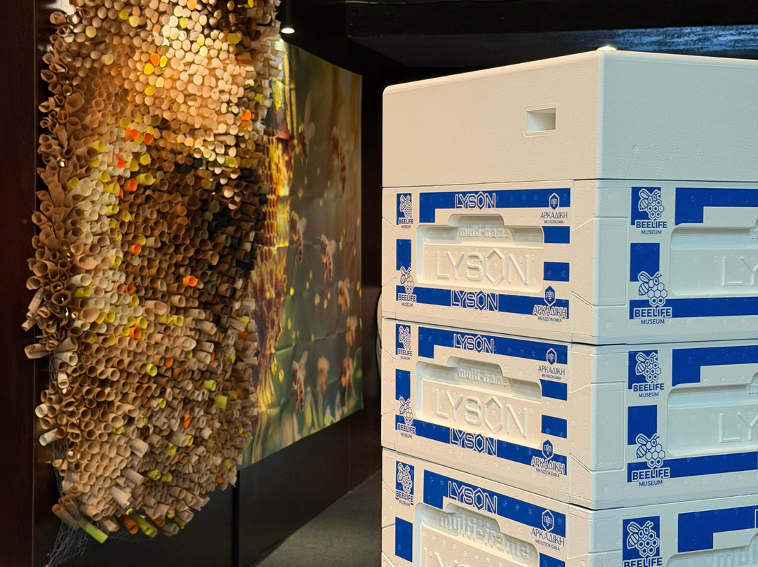 Bee Museum