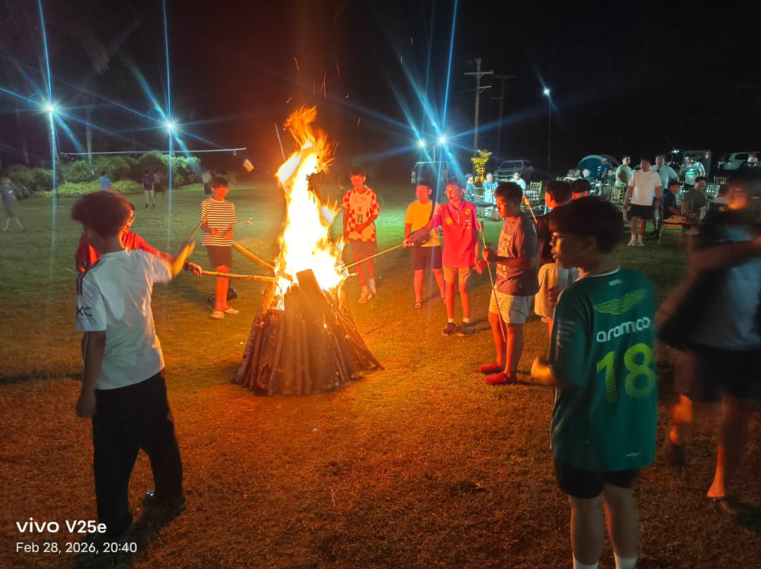 扎伊达花园主图