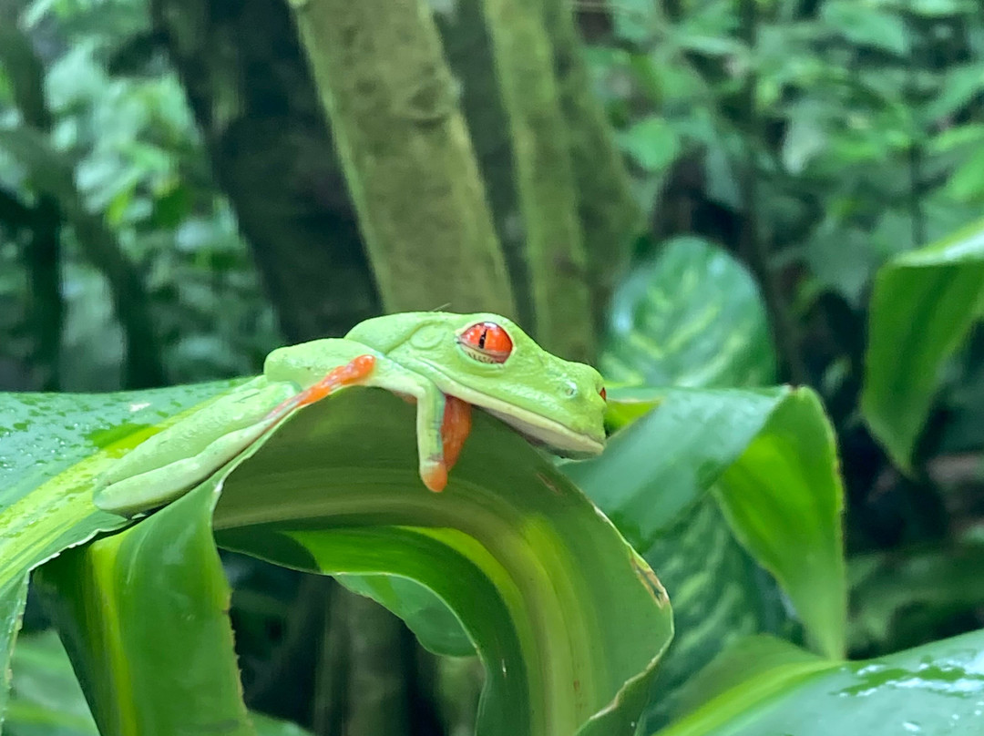 Brother's Adventures Tours-萨迪纳尔必去景点
