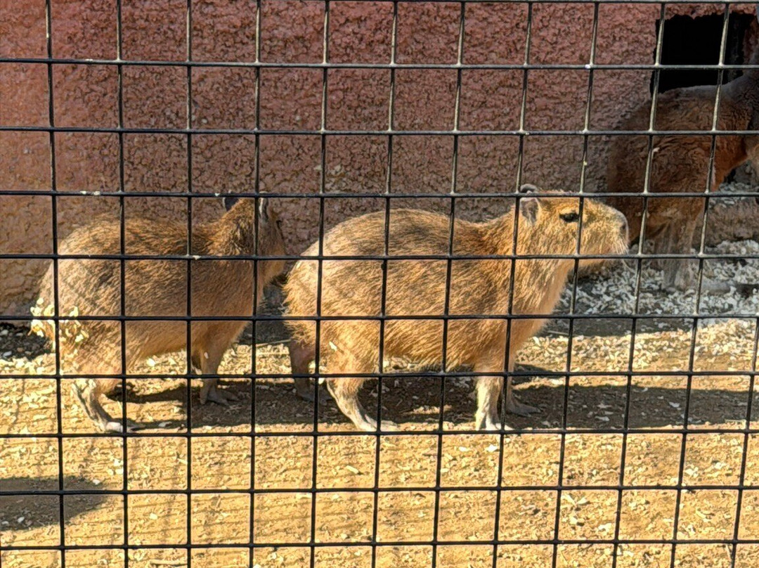 Nova Wild-维也纳必去景点