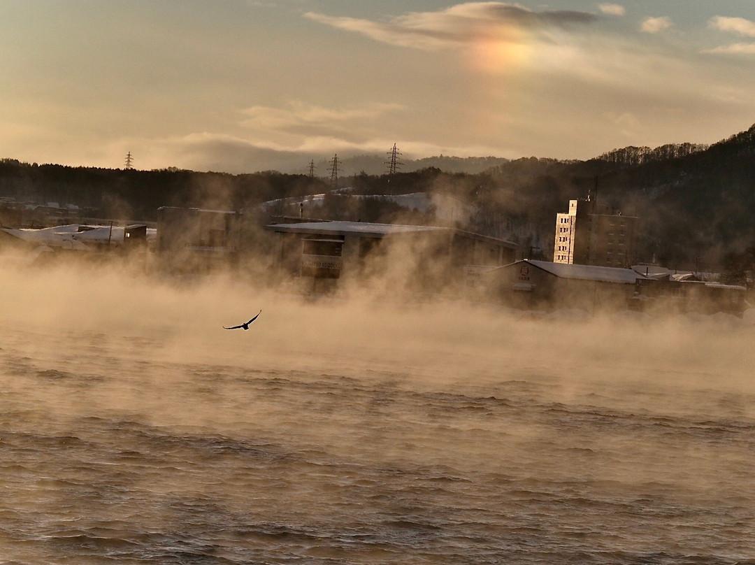 Hato no Hito-留萌市必去景点