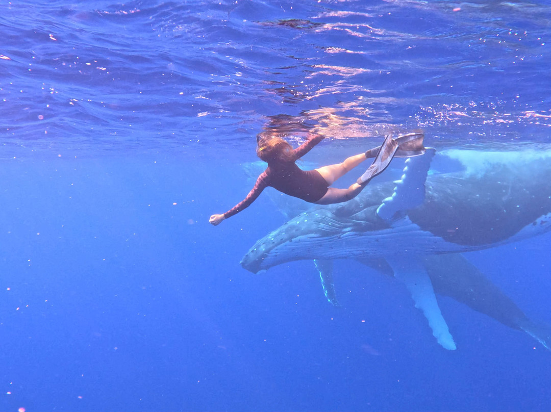 Dive and Sea Tahiti - Base nautique de Puna'auia-普纳奥亚必去景点