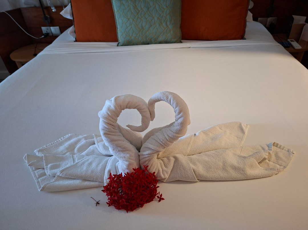 维兰达保尔弗吉尼酒店及水疗中心 - 仅限成人主图