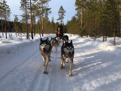 Aurora Borealis Adventures-Vindeln必去景点