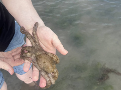 Narara Marine National Park-Devbhumi Dwarka District必去景点