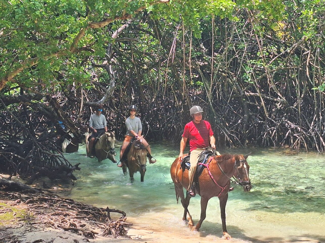 Santo Horse Adventures-卢甘维尔必去景点