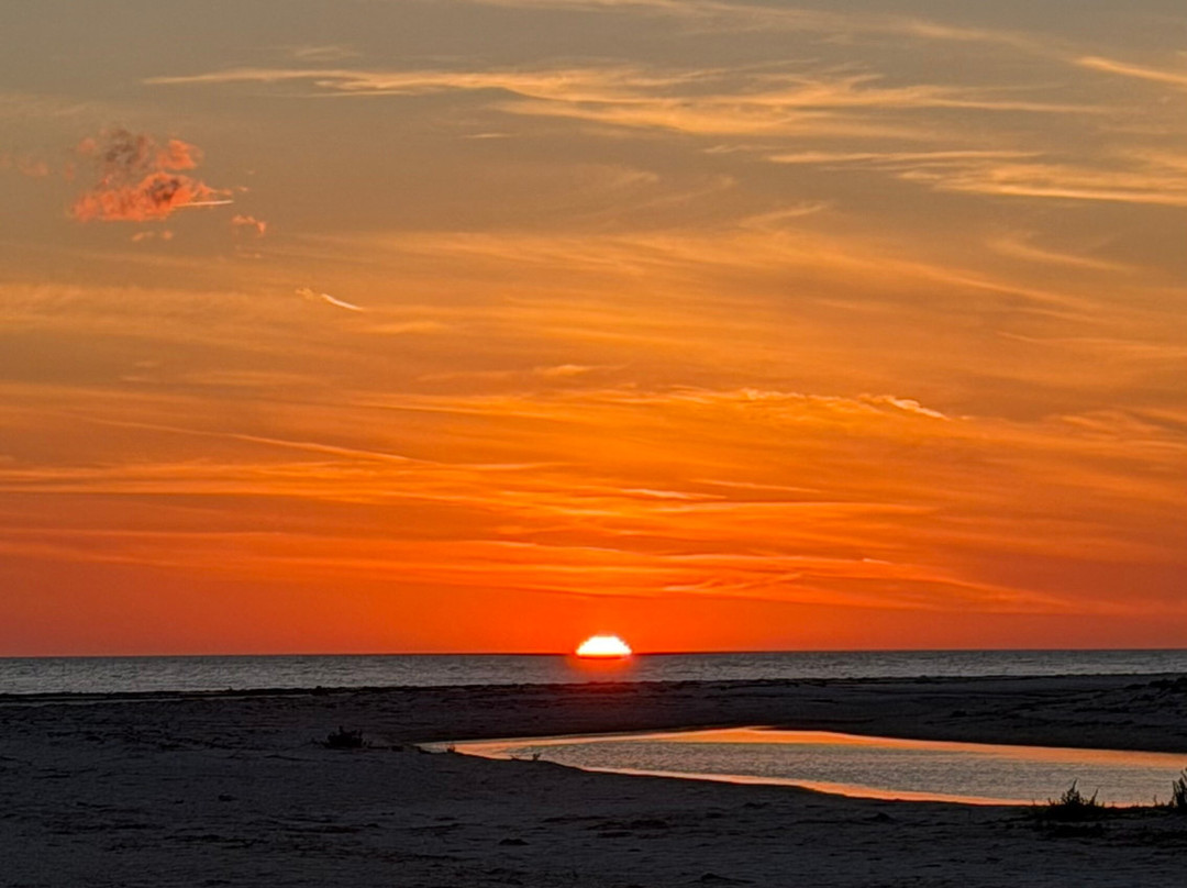 Spongeorama Sponge Factory-塔彭斯普林斯必去景点