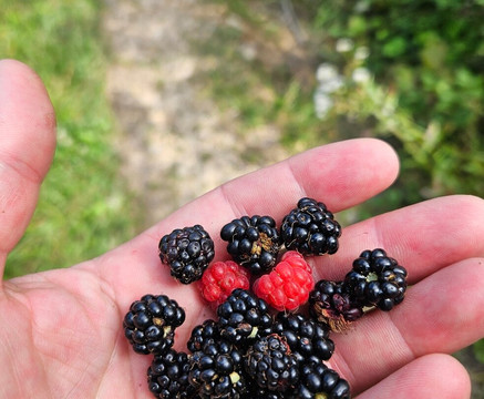Via Transilvanica-Piatra Fantanele必去景点