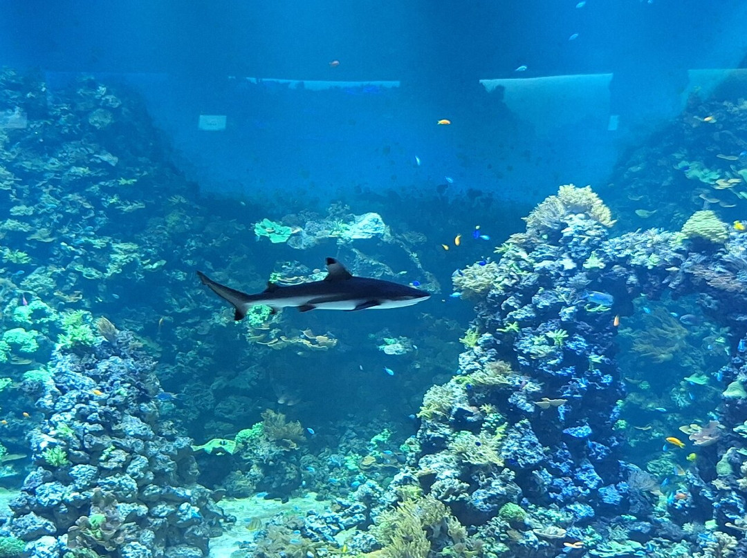 Sjofartsmuseet Goteborg-哥德堡必去景点