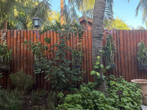 Zest Spa-藩切市必去景点