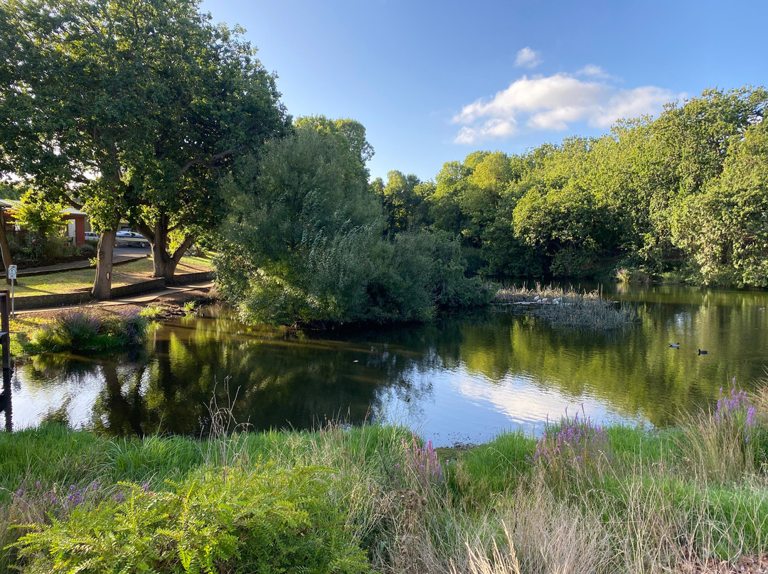 海伊斯伯利住宿加早餐旅馆主图