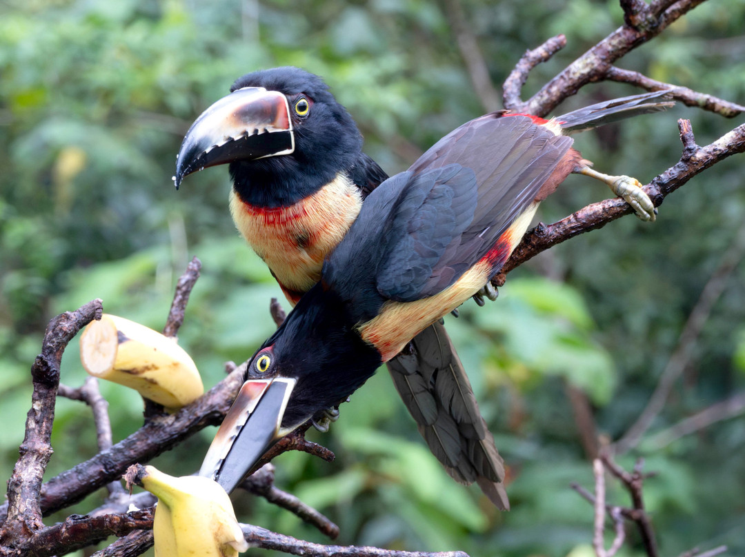 Life Time Travel-萨迪纳尔必去景点