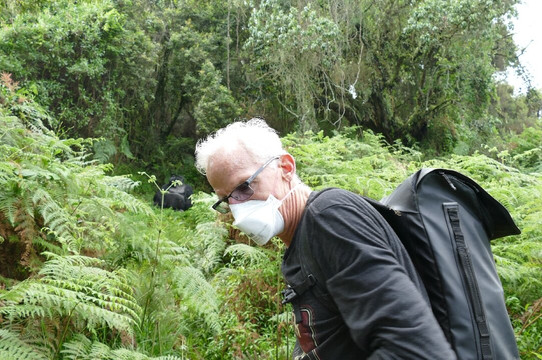 Gorilla Bookings-坎帕拉必去景点