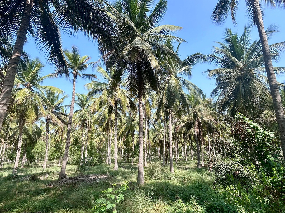 Shri Sivalaya Holistic wellness