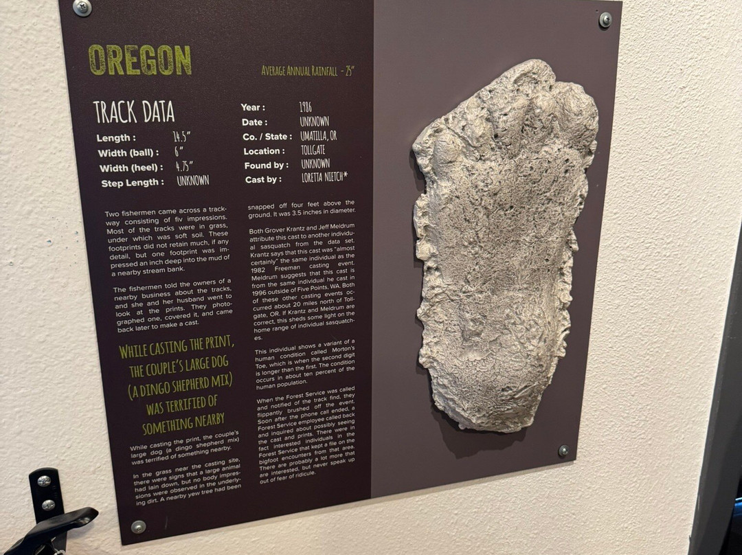 North American Bigfoot Center-Boring必去景点