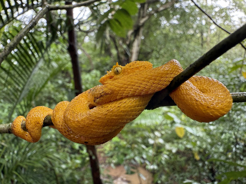 Allan Explorer-Upala必去景点