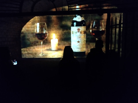 Vina Santa Carolina-圣地亚哥必去景点