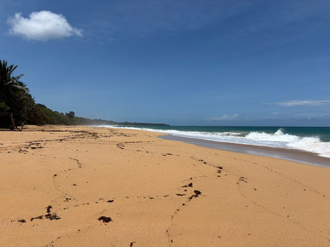 Playa Bluff-Bluff Beach必去景点