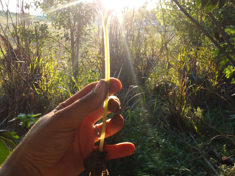 Paseo del Mate-San Jose必去景点
