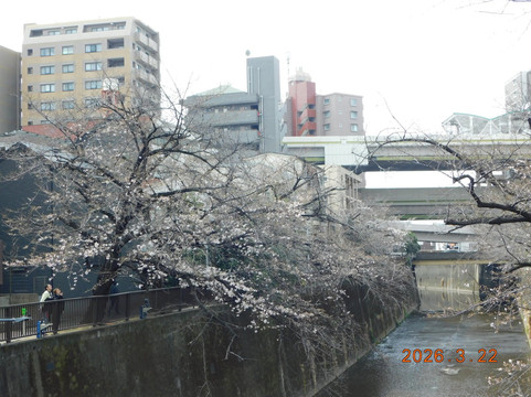 Shakuji River Green Road-板桥区必去景点